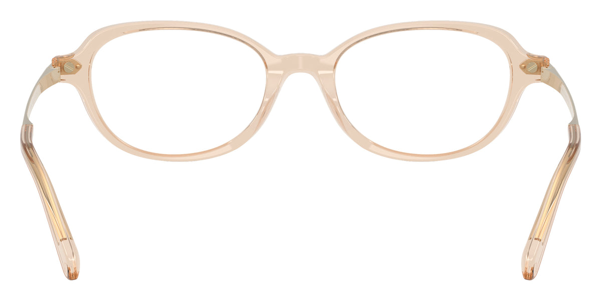 RALPH LAUREN RL6269U 6062 49 - Transparent Brown #id:rl6269u6062_s:104115