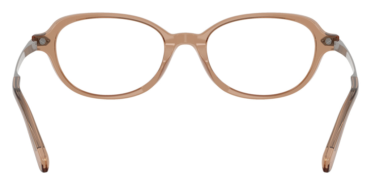 RALPH LAUREN RL6269U 6377 49 - Transparent Dusty Brown #id:rl6269u6377_s:112115