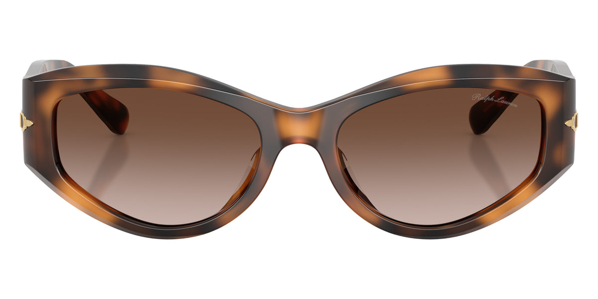 RALPH LAUREN RL8243U 608913 54 - Havana / Gradient Brown #id:rl8243u608913_s:102100