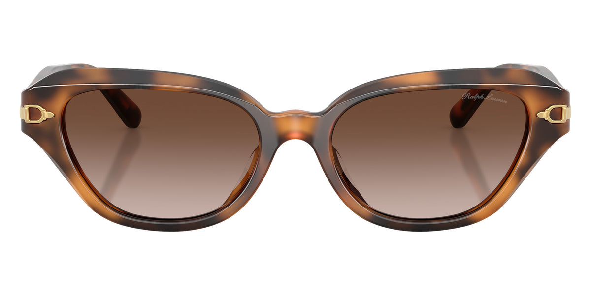 RALPH LAUREN RL8244U 608913 53 - Havana / Gradient Brown #id:rl8244u608913_s:102100