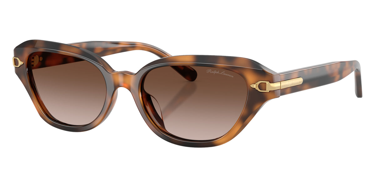 RALPH LAUREN RL8244U 608913 53 - Havana / Gradient Brown #id:rl8244u608913_s:102105