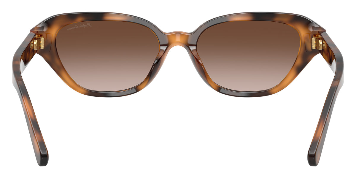 RALPH LAUREN RL8244U 608913 53 - Havana / Gradient Brown #id:rl8244u608913_s:102115
