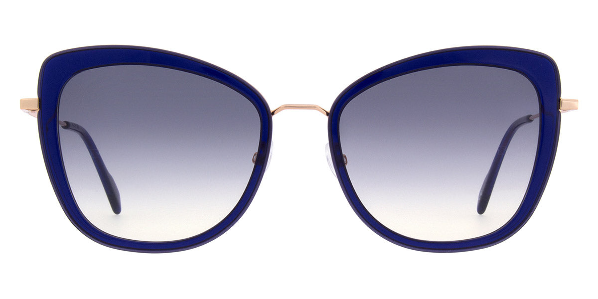 Andy Wolf - Rosehip Sun