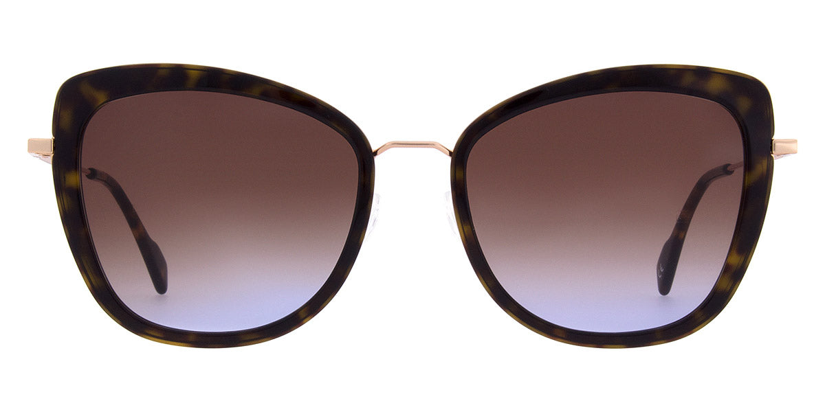 Andy Wolf - Rosehip Sun