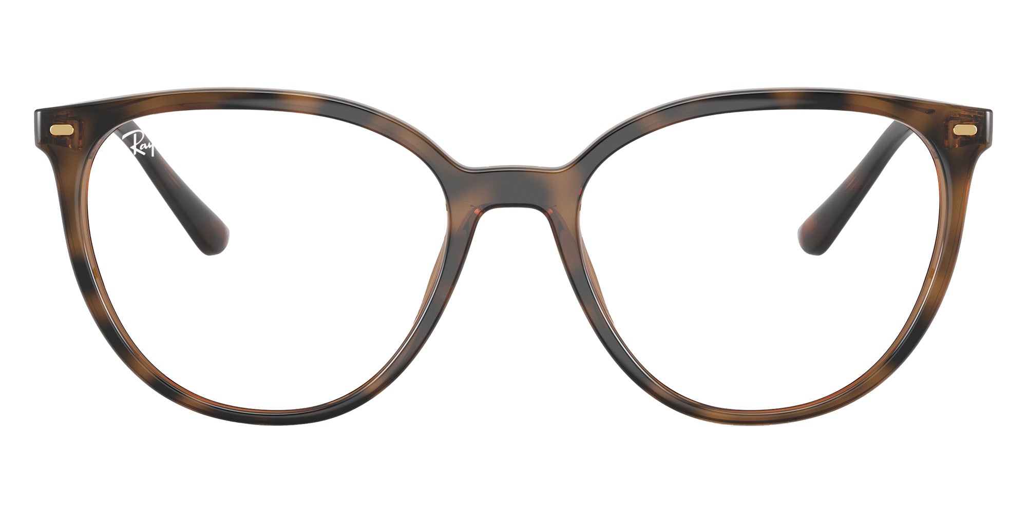 Ray-Ban RB7246L 2012 53 - Dark Havana #id:rx7246l2012_s:100100