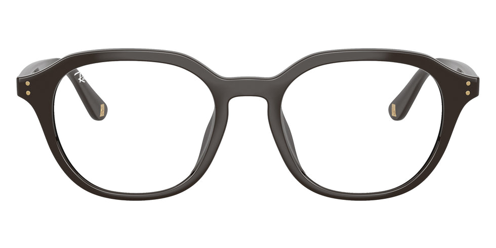 Ray-Ban RB7259D Year Of The Horse Edition 8493 52 - Full Dark Brown #id:rx7259d8493_s:100100