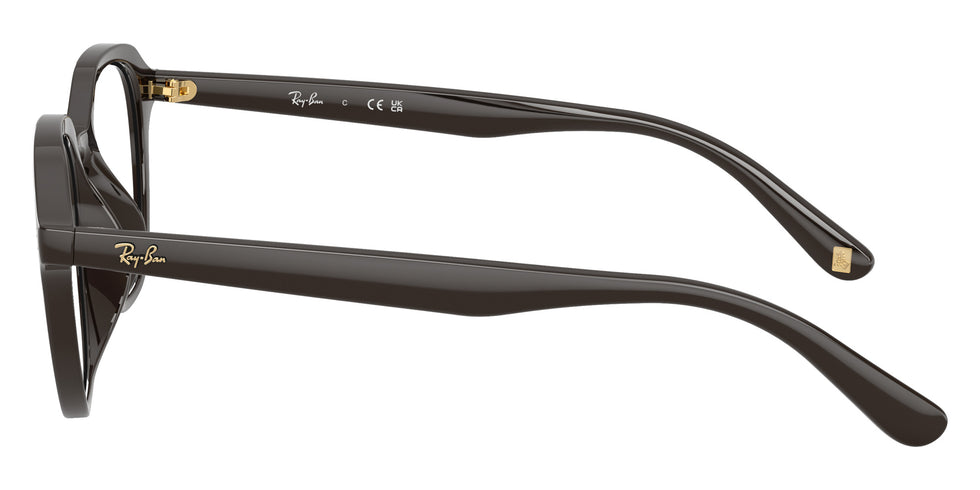 Ray-Ban RB7259D Year Of The Horse Edition 8493 52 - Full Dark Brown #id:rx7259d8493_s:100110
