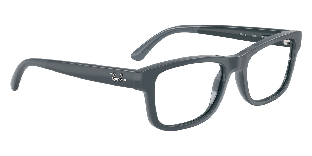 Ray-Ban RB1951 Everflex 7546 46 - Gray #id:ry19517546_s:116120
