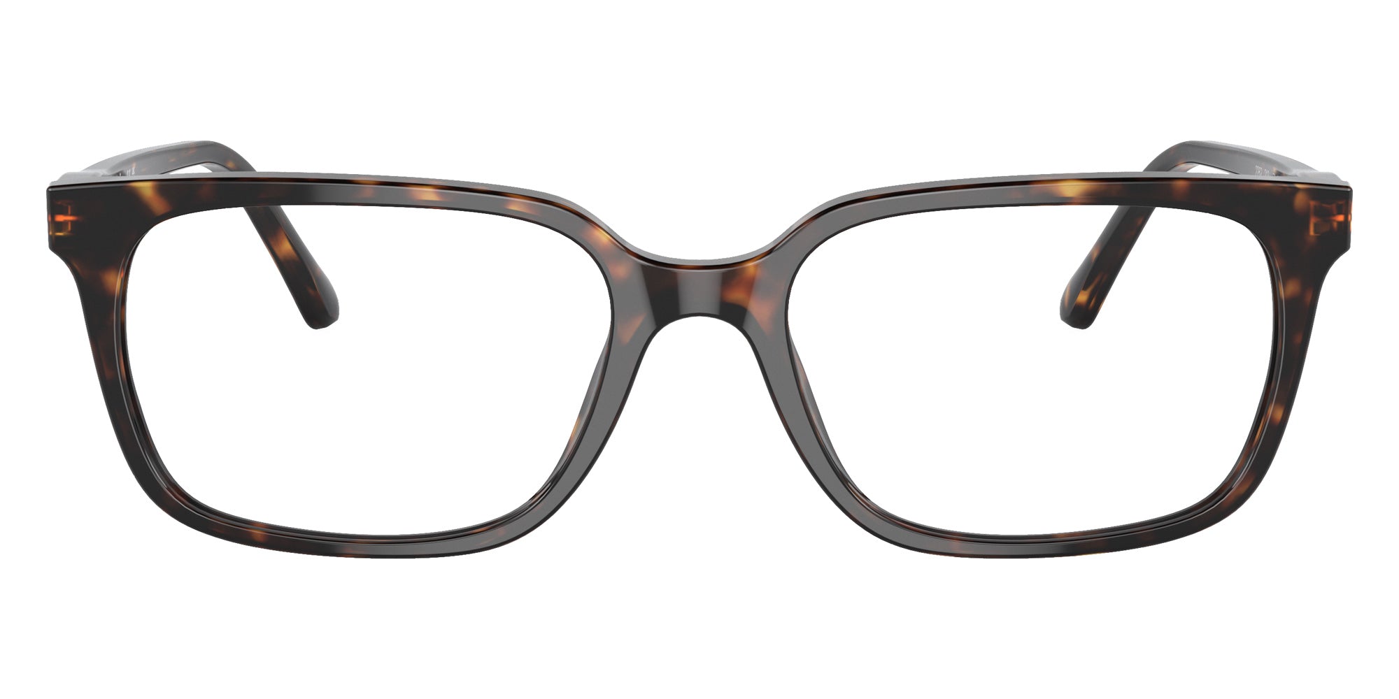 Sferoflex SF1151 C213 56 - Shiny Havana #id:sf1151c213_s:100100