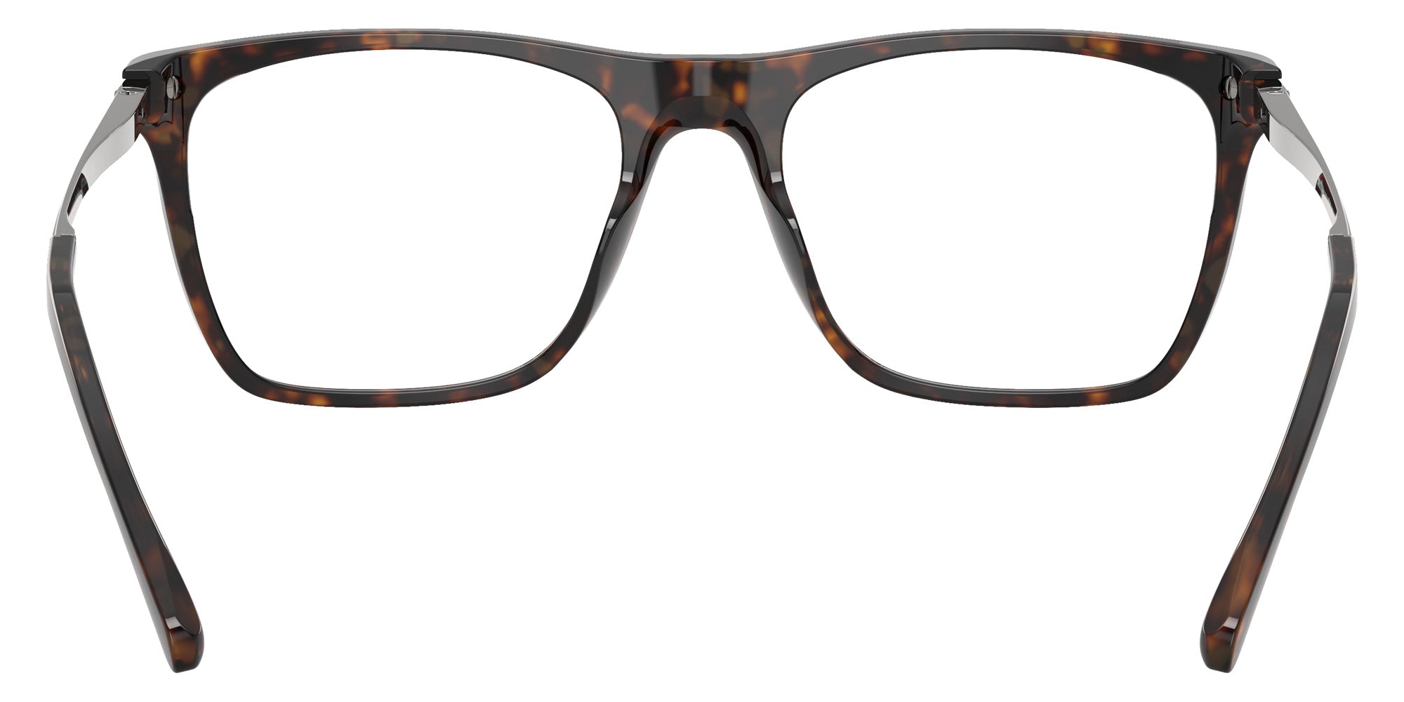 Sferoflex SF1153 C646 55 - Shiny Havana #id:sf1153c646_s:102115