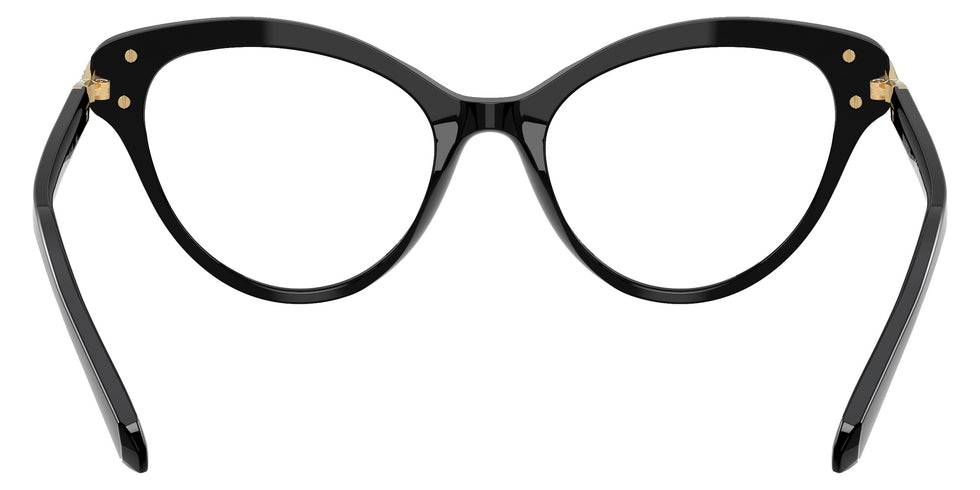Swarovski SK2030 1001 53 - Black #id:sk20301001_s:100115