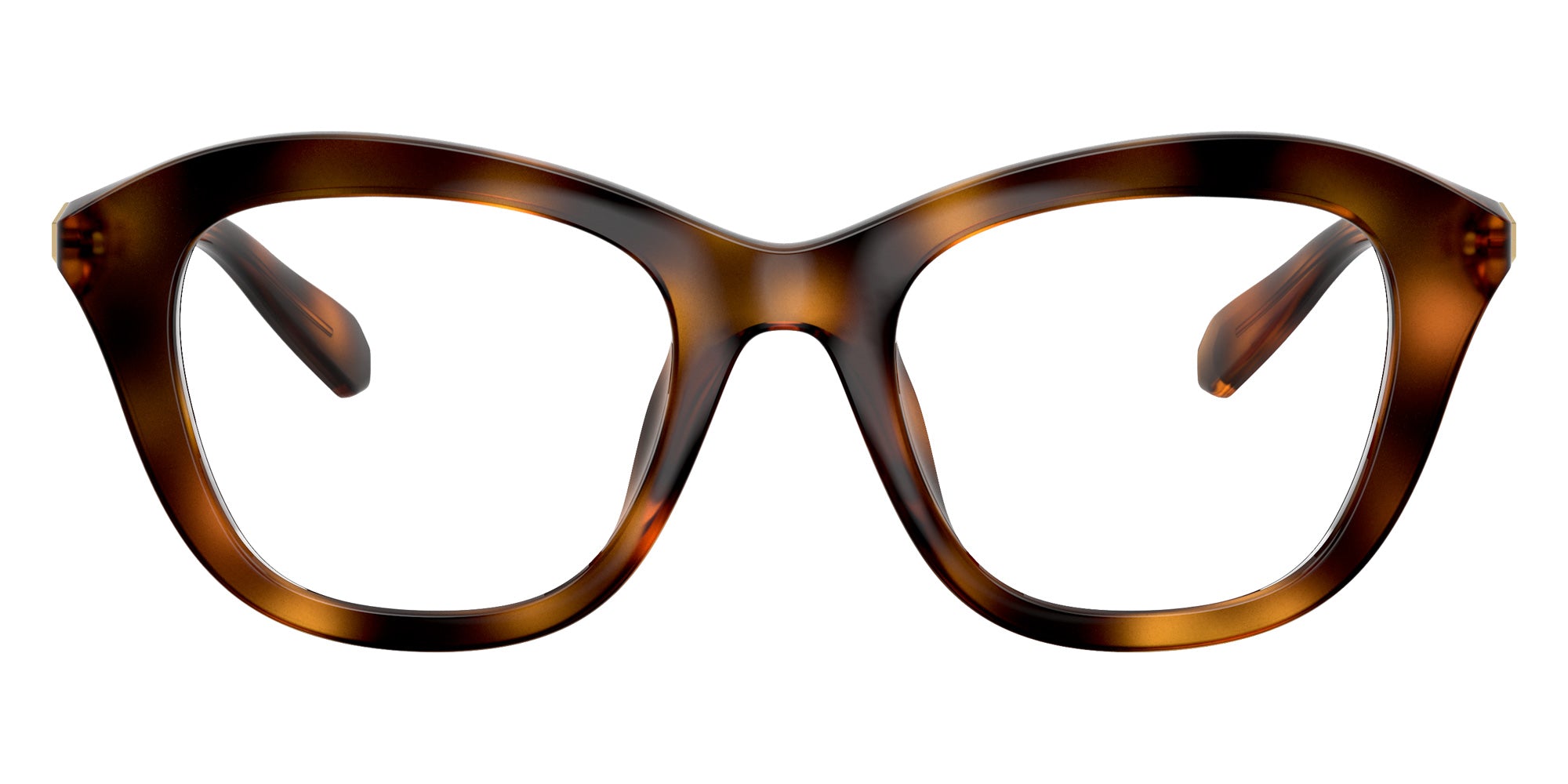Swarovski SK2042U 1002 48 - Havana #id:sk2042u1002_s:104100