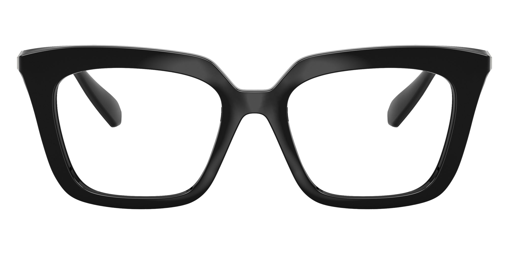 Swarovski SK2043F 1038 51 - Black #id:sk2043f1038_s:104100