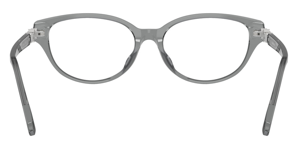Swarovski SK2058D 1062 54 - Transparent Dark Gray #id:sk2058d1062_s:104115