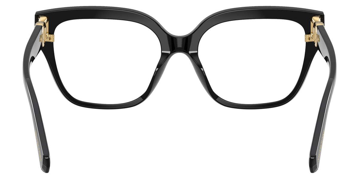 Swarovski SK2076U 1001 53 - Black #id:sk2076u1001_s:100115