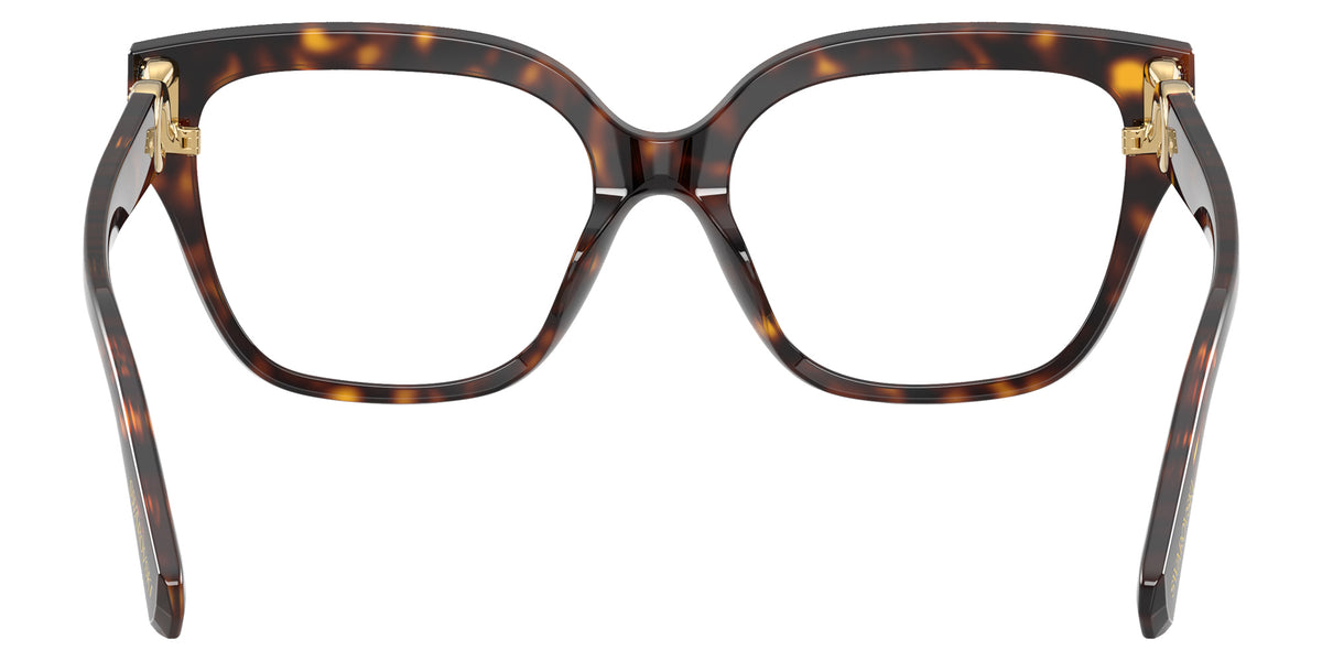 Swarovski SK2076U 1002 53 - Havana #id:sk2076u1002_s:104115