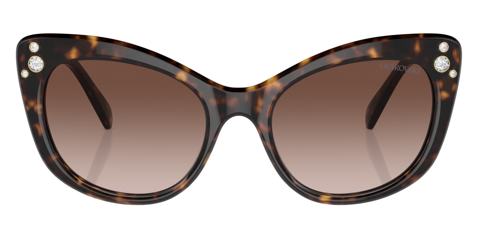 Swarovski SK6020 100213 55 - Havana / Gradient Brown #id:sk6020100213_s:102100