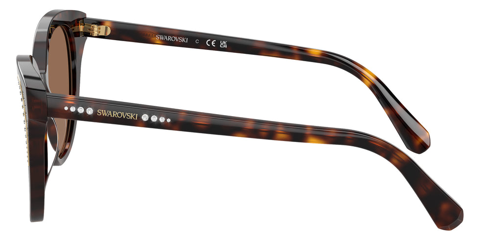 Swarovski SK6031F 100273 54 - Dark Havana / Dark Brown #id:sk6031f100273_s:102110