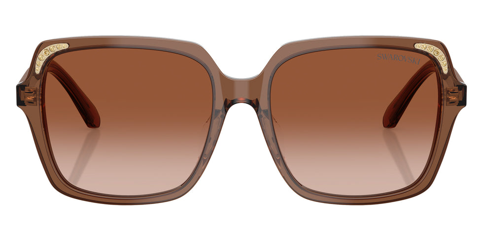 Swarovski SK6034D 106713 56 - Transparent Brown / Gradient Brown #id:sk6034d106713_s:106100