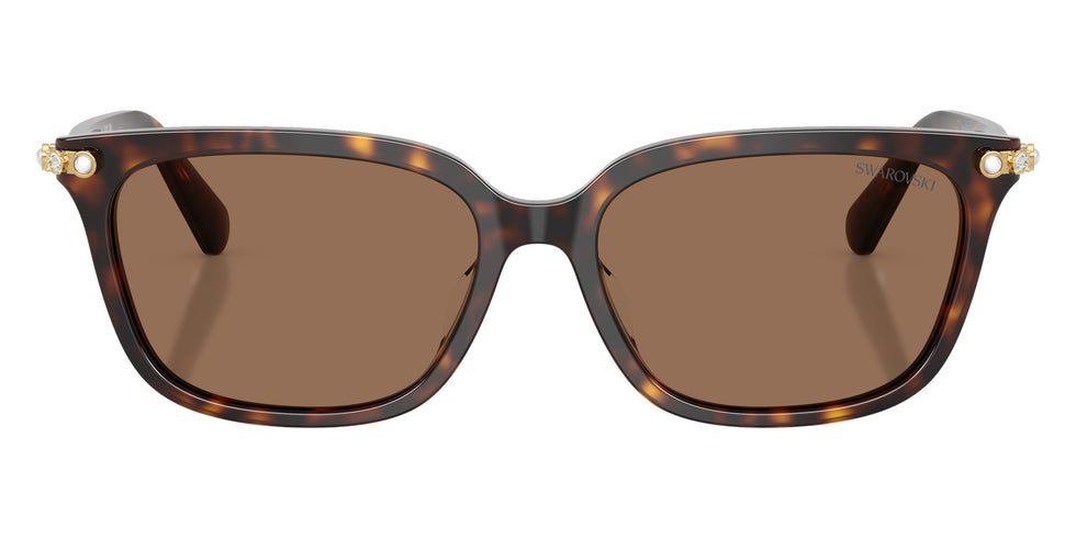 Swarovski SK6064D 100273 56 - Havana #id:sk6064d100273_s:100100