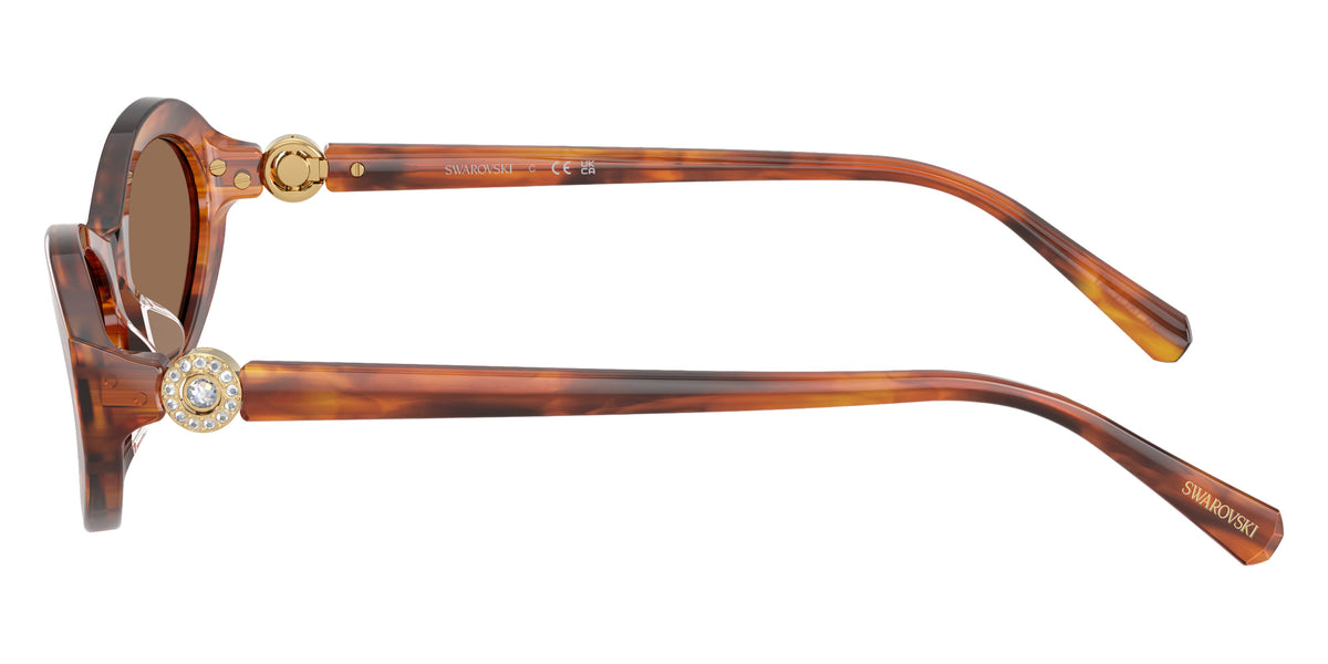 Swarovski SK6069U 109173 56 - Striped Havana / Dark Brown #id:sk6069u109173_s:106110