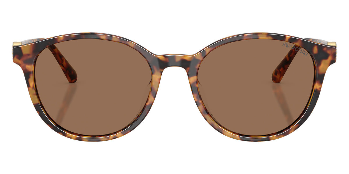 Swarovski SK6075D 104073 55 - Havana / Dark Brown #id:sk6075d104073_s:104100