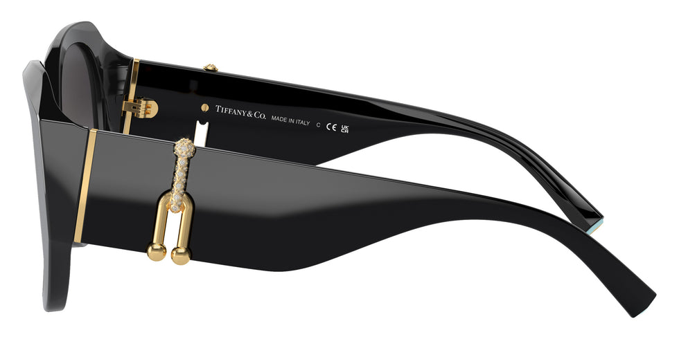 TIFFANY TF4207B 80013C 55 - Black #id:tf4207b80013c_s:100110