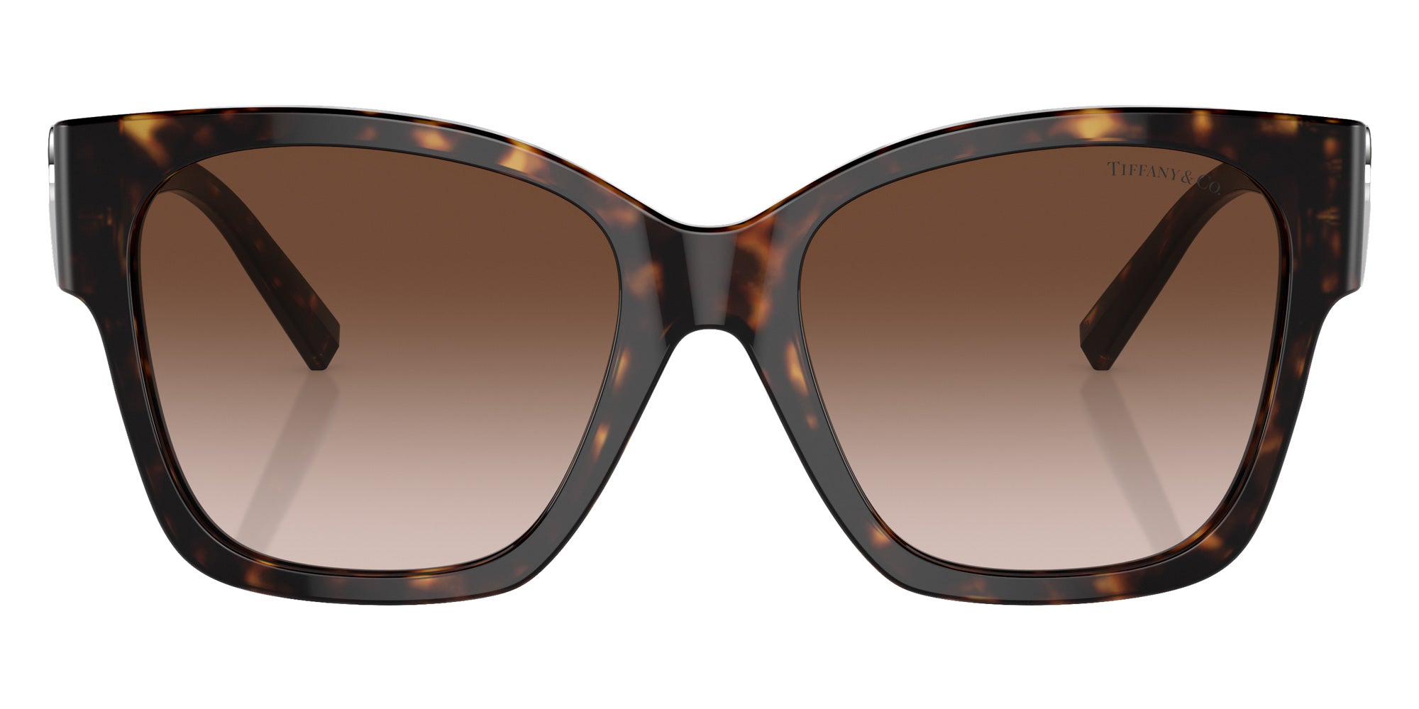 TIFFANY TF4216F 80153B 54 - Havana #id:tf4216f80153b_s:100100