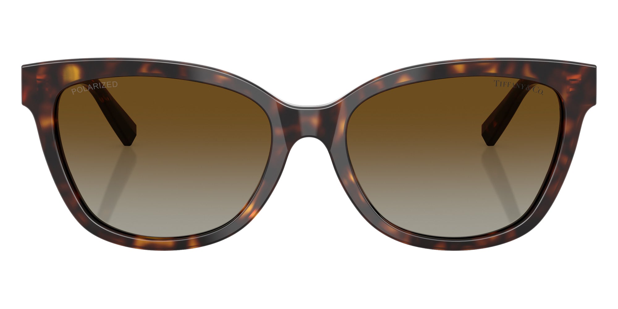 TIFFANY TF4237B 8015T5 55 - Havana / Polarized Brown Gradient #id:tf4237b8015t5_s:102100