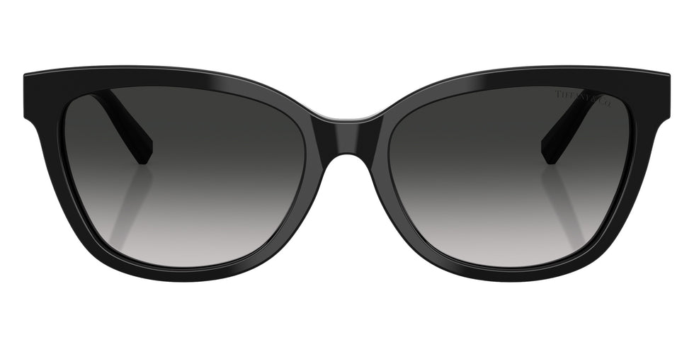 TIFFANY TF4237BF 80013C 55 - Black / Gray Gradient #id:tf4237bf80013c_s:100100