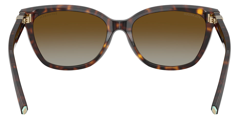 TIFFANY TF4237BF 8015T5 55 - Havana / Polarized Brown Gradient #id:tf4237bf8015t5_s:104115