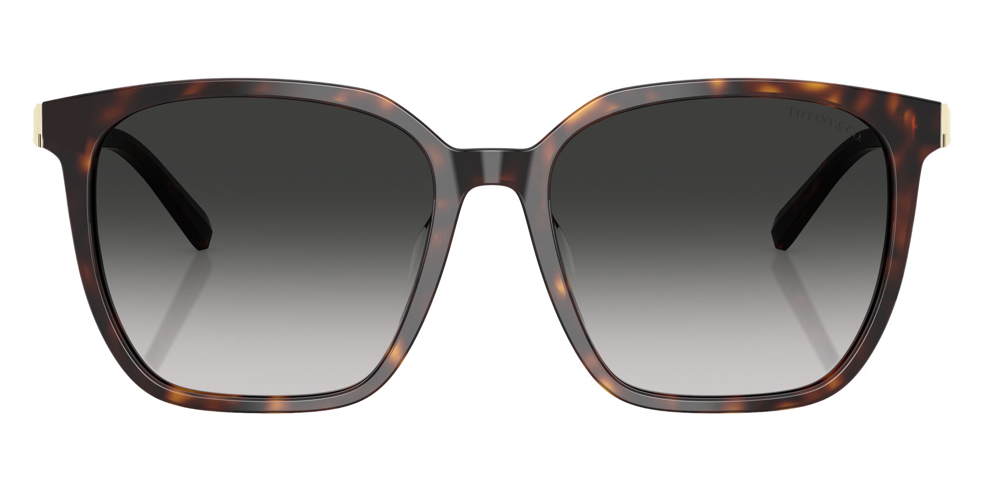 TIFFANY TF4244D 80153C 56 - Havana / Gray Gradient #id:tf4244d80153c_s:102100