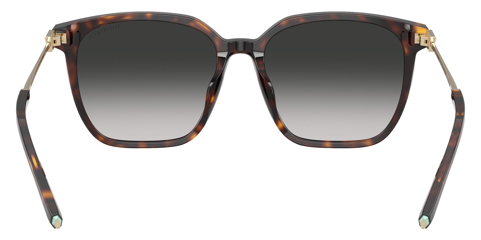 TIFFANY TF4244D 80153C 56 - Havana / Gray Gradient #id:tf4244d80153c_s:102115