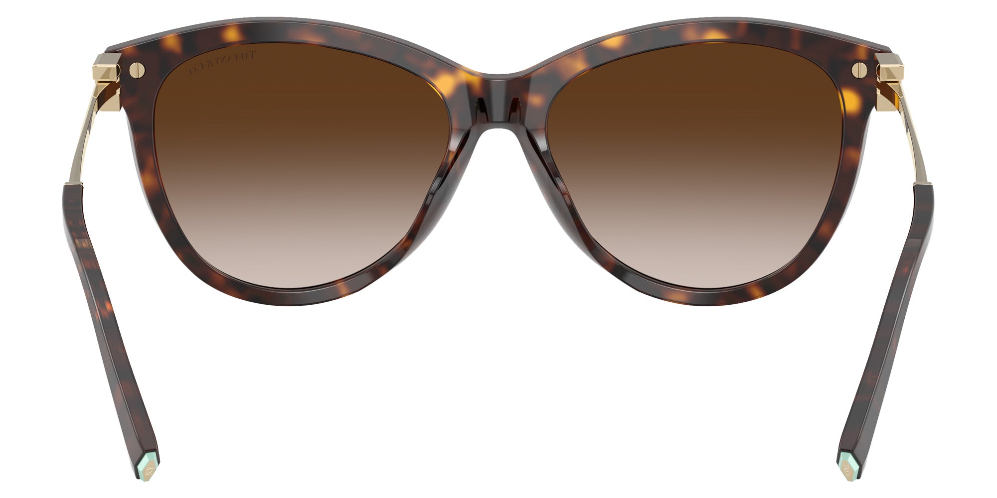 TIFFANY TF4258BU 80153B 57 - Havana #id:tf4258bu80153b_s:102115