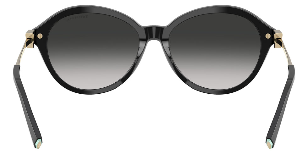 TIFFANY TF4259 80013C 56 - Black #id:tf425980013c_s:100115
