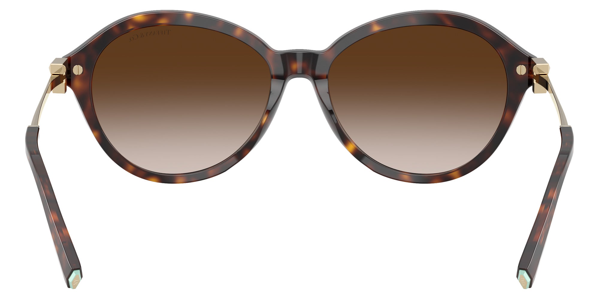 TIFFANY TF4259 80153B 56 - Havana #id:tf425980153b_s:102115