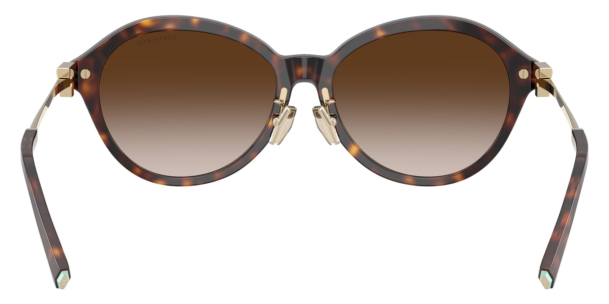 TIFFANY TF4259F 80153B 56 - Havana #id:tf4259f80153b_s:102115