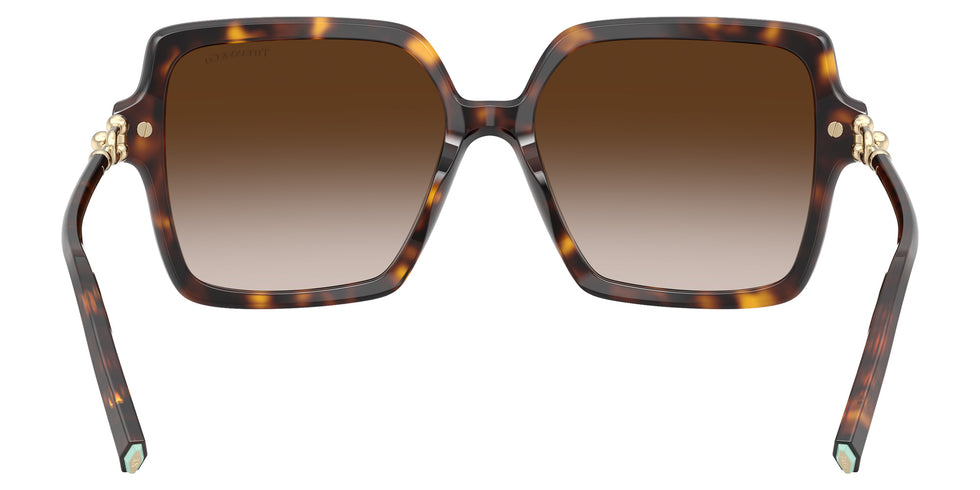 TIFFANY TF4260U 80153B 57 - Havana #id:tf4260u80153b_s:102115