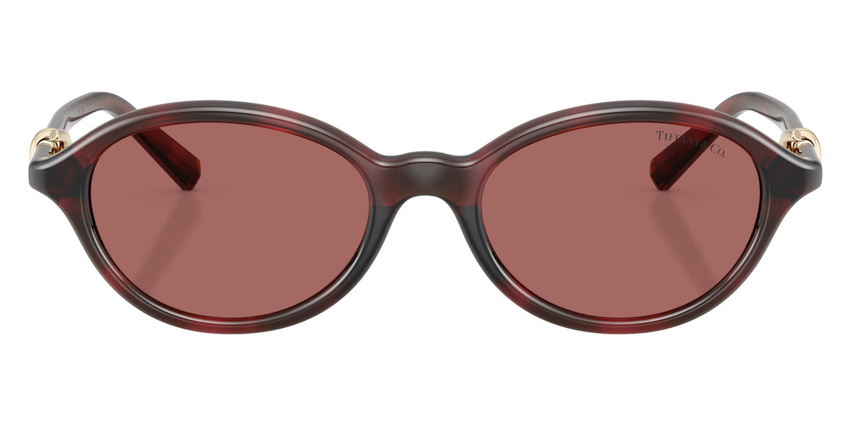 TIFFANY TF4266U 847269 51 - Ruby Havana / Dark Violet #id:tf4266u847269_s:102100