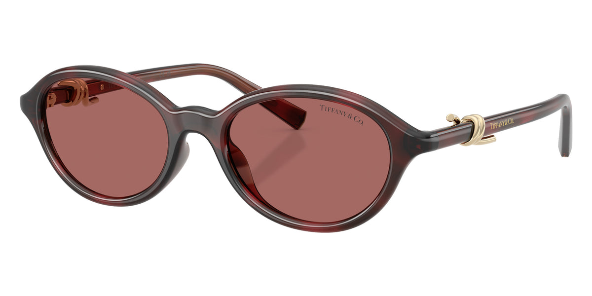 TIFFANY TF4266U 847269 51 - Ruby Havana / Dark Violet #id:tf4266u847269_s:102105