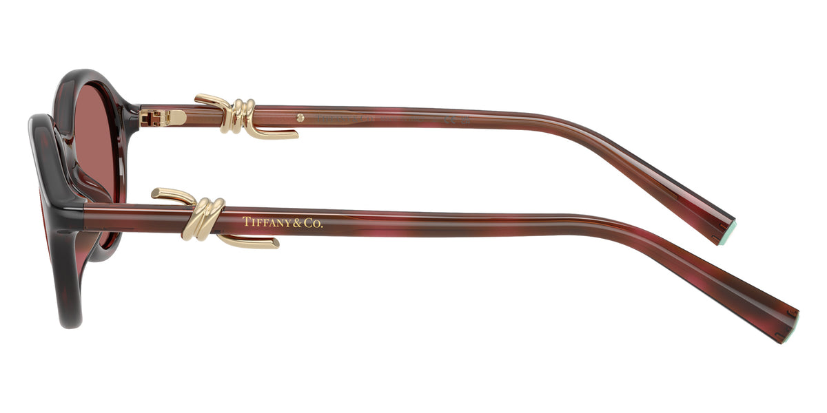 TIFFANY TF4266U 847269 51 - Ruby Havana / Dark Violet #id:tf4266u847269_s:102110