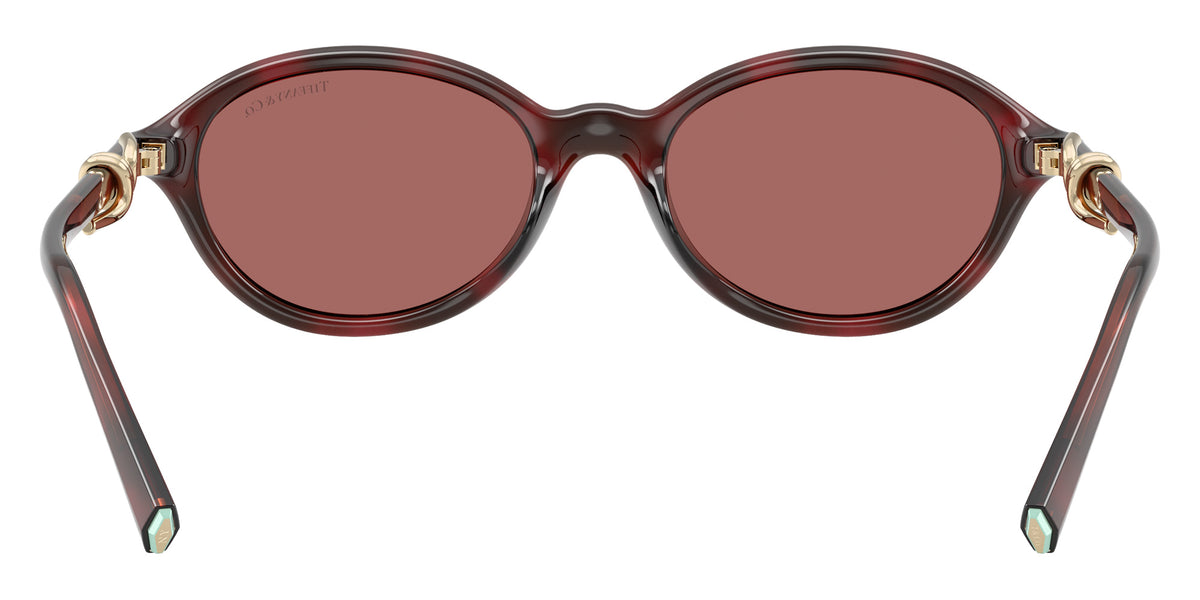 TIFFANY TF4266U 847269 51 - Ruby Havana / Dark Violet #id:tf4266u847269_s:102115