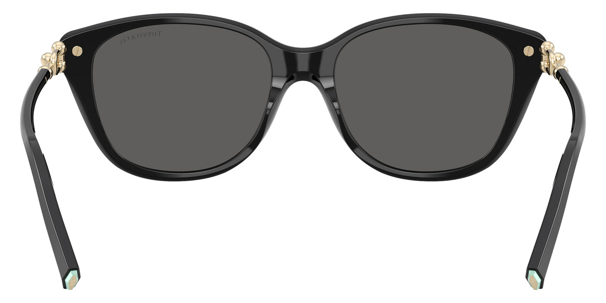 TIFFANY TF4267 8001S4 54 - Black / Dark Gray #id:tf42678001s4_s:100115