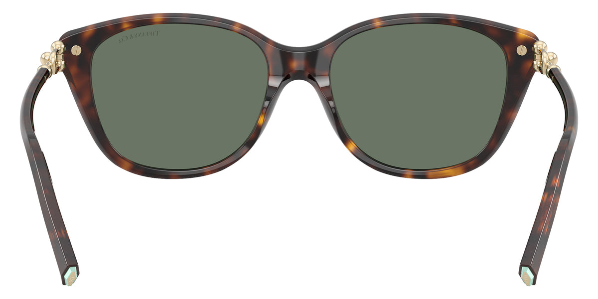 TIFFANY TF4267 80153H 54 - Havana / Dark Green #id:tf426780153h_s:102115