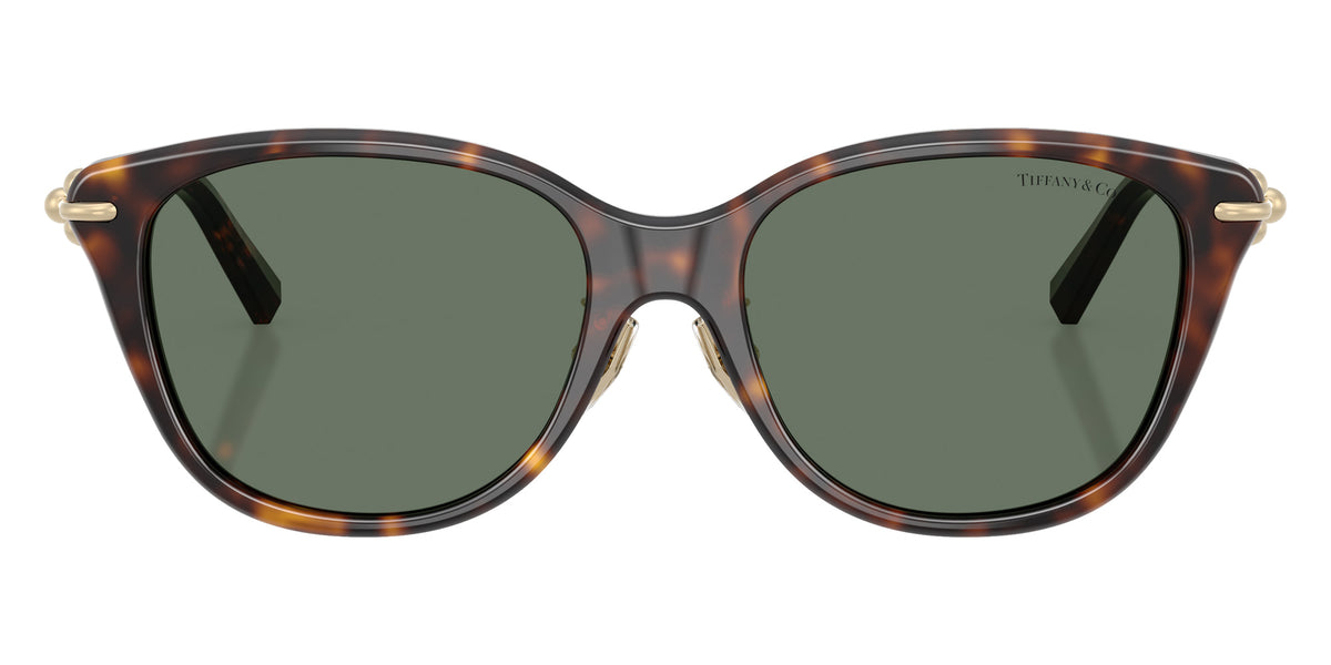 TIFFANY TF4267F 80153H 54 - Havana / Dark Green #id:tf4267f80153h_s:102100
