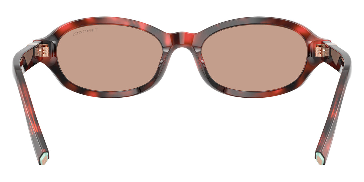 TIFFANY TF4270U 847873 52 - Ruby Havana / Brown #id:tf4270u847873_s:108115