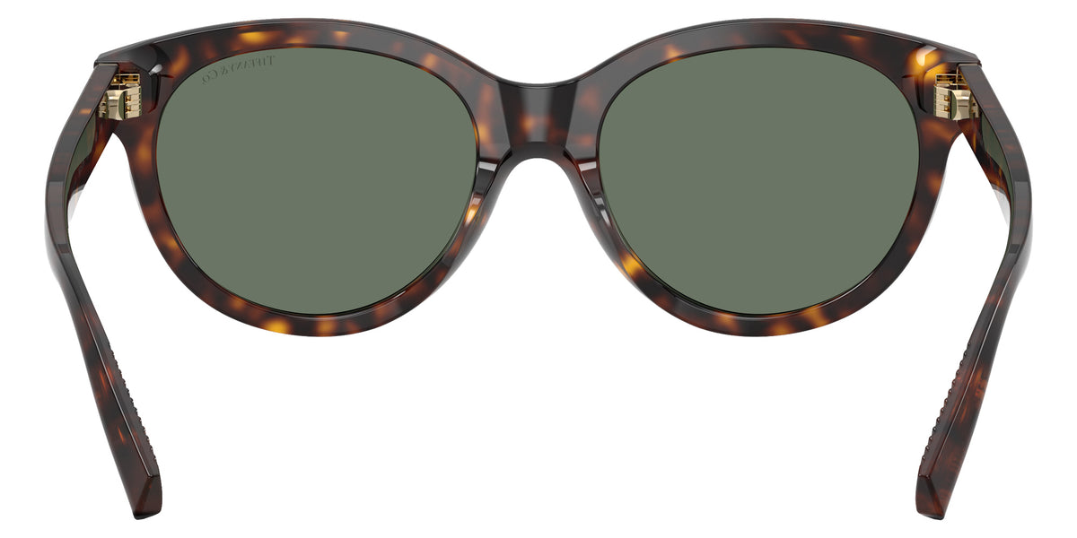 TIFFANY TF4271F 80153H 55 - Havana / Dark Green #id:tf4271f80153h_s:102115