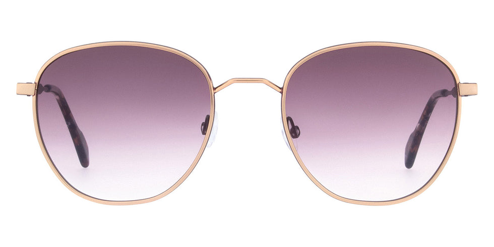 Andy Wolf - Turner Sun