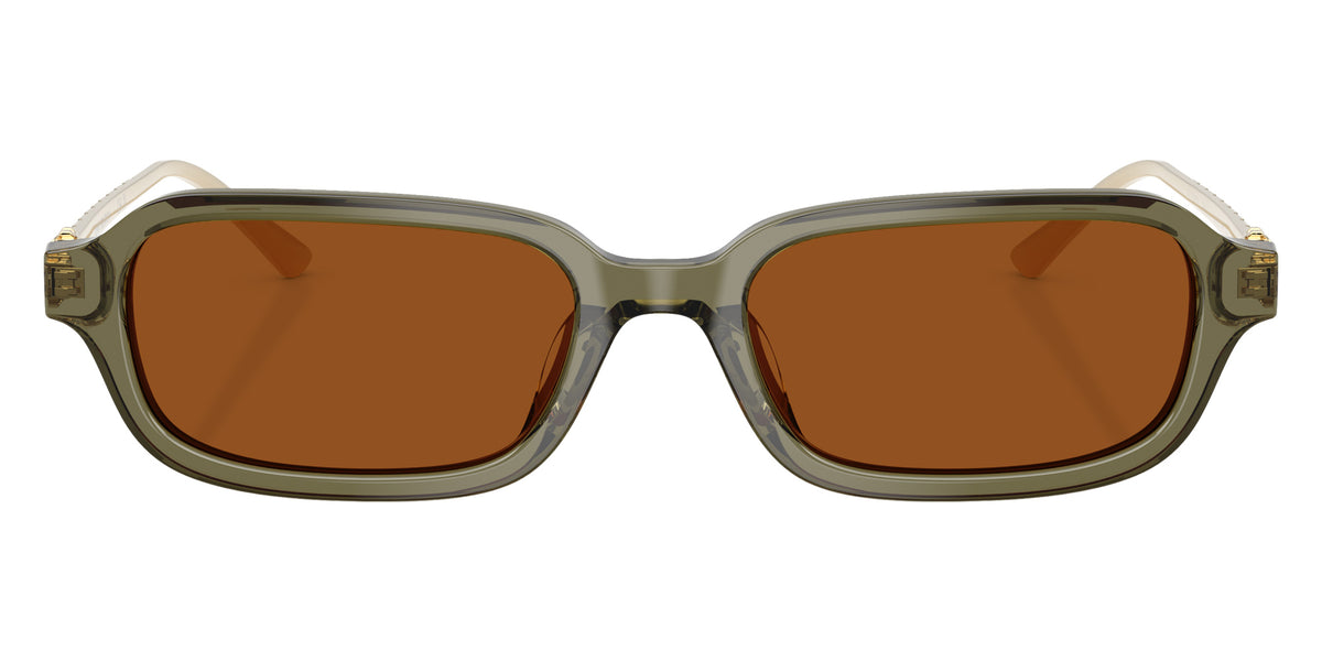 Tory Burch TY7243U 208573 53 - Transparent Olive / Solid Brown #id:ty7243u208573_s:104100