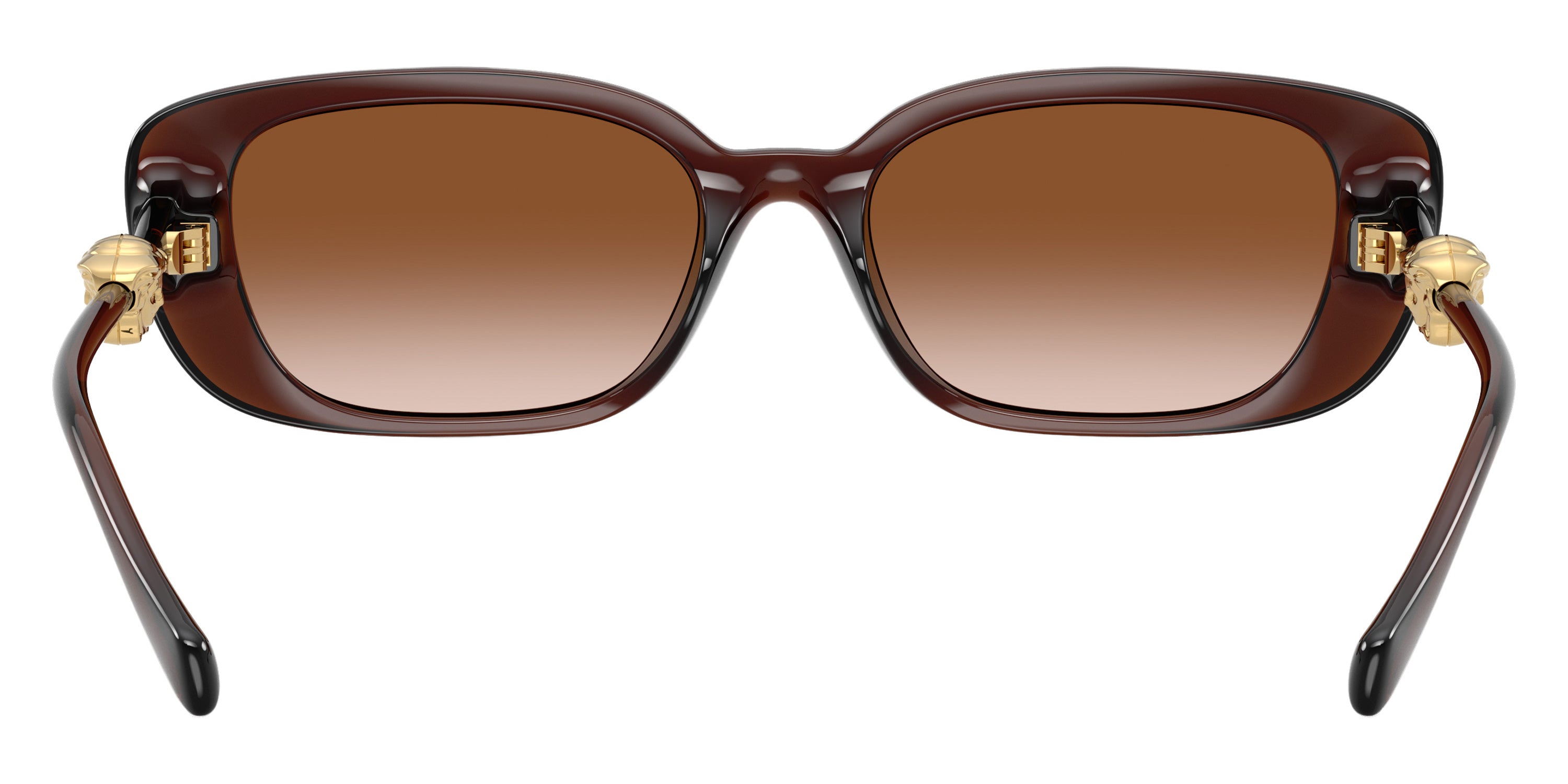 VERSACE VE4504D 533213 56 - Transparent Brown / Brown Gradient